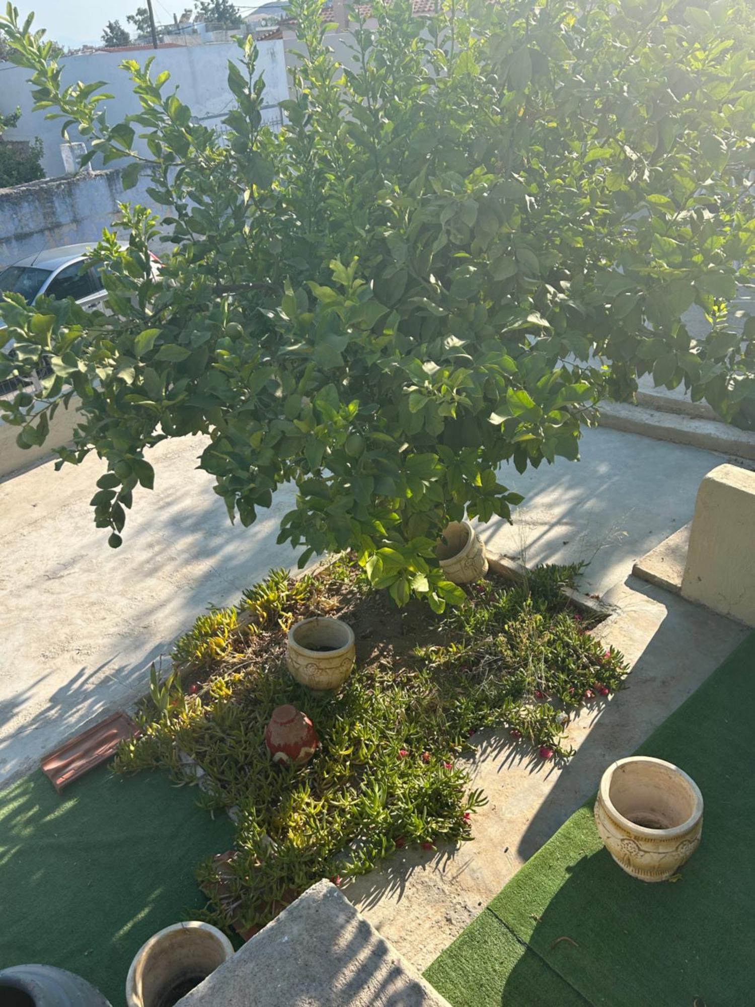 Apartmán Lemonia *