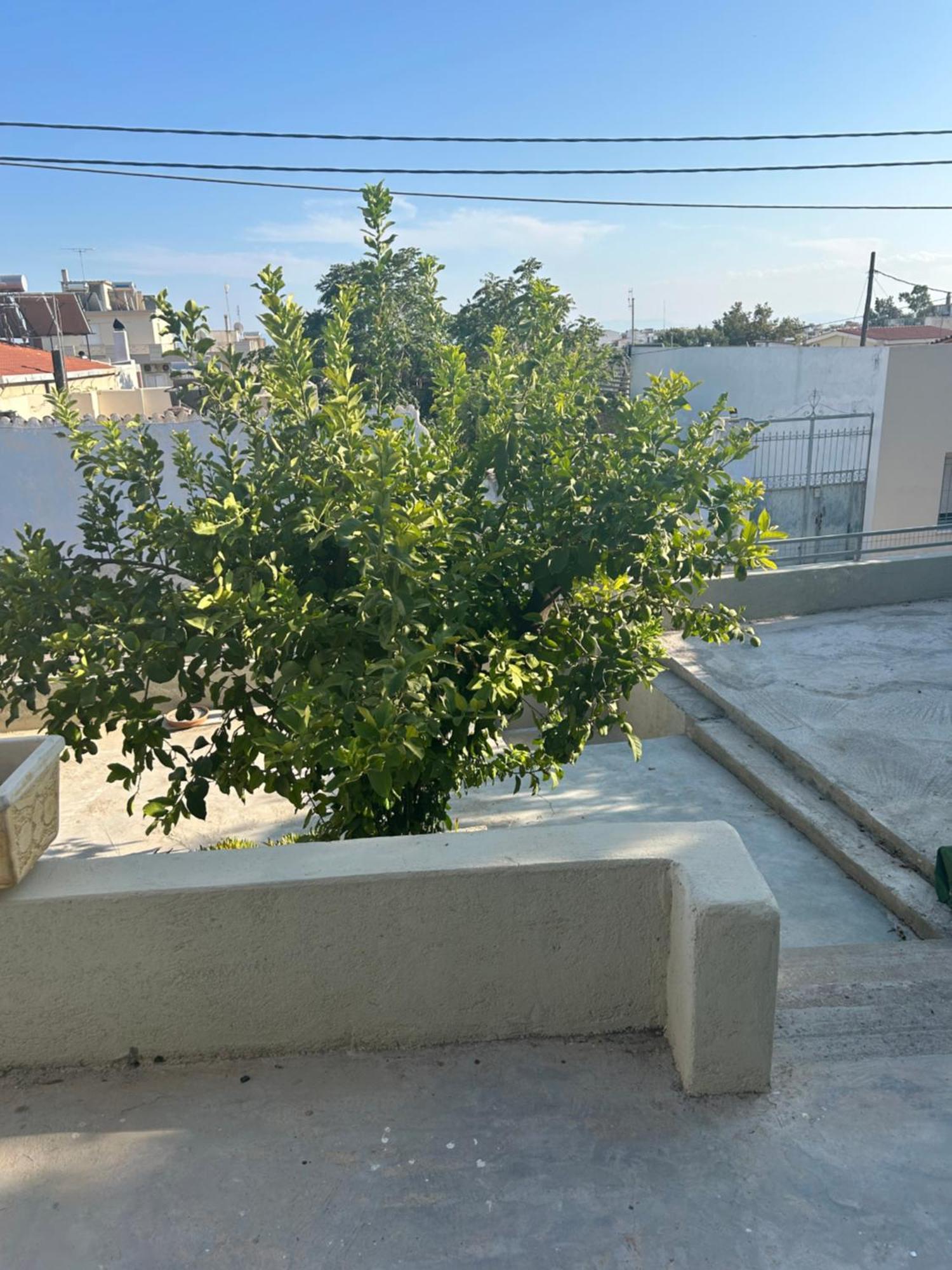 Lemonia Apartment Megara